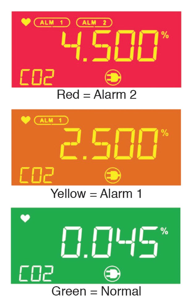 RKI RI-600 CO2 Monitor | Wall-Mount NDIR Gas Detector with Alarm