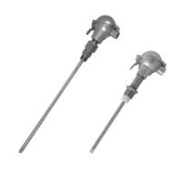Capacitance Level Transmitter - PFA Jacketed Probe | Intempco LTX05